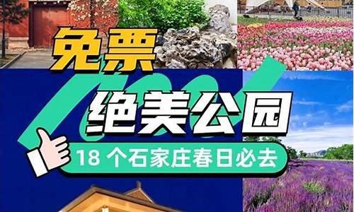 中山足球政策,中山市足球培训学校