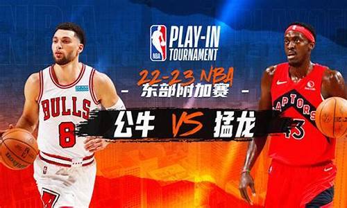 nba附加赛是什么时候_nba附加赛从什么时候开始的