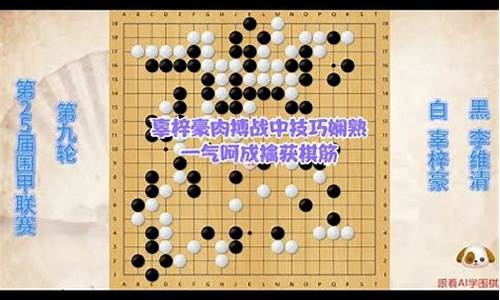 中央电视台围棋围甲联赛-中央电视台围棋比赛讲解