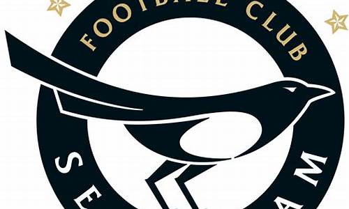 城南足球俱乐部升级最新消息,城南足球俱乐
