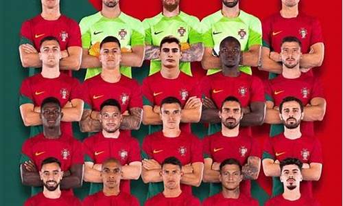 葡萄牙历届世界杯_葡萄牙世界杯名单16年欧洲杯